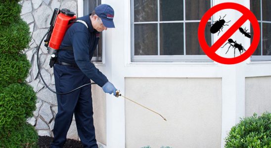 Korkuteli Bit İlaçlama böcek ilaçlama ve haşere kontrolü — ilaclama-tr.com